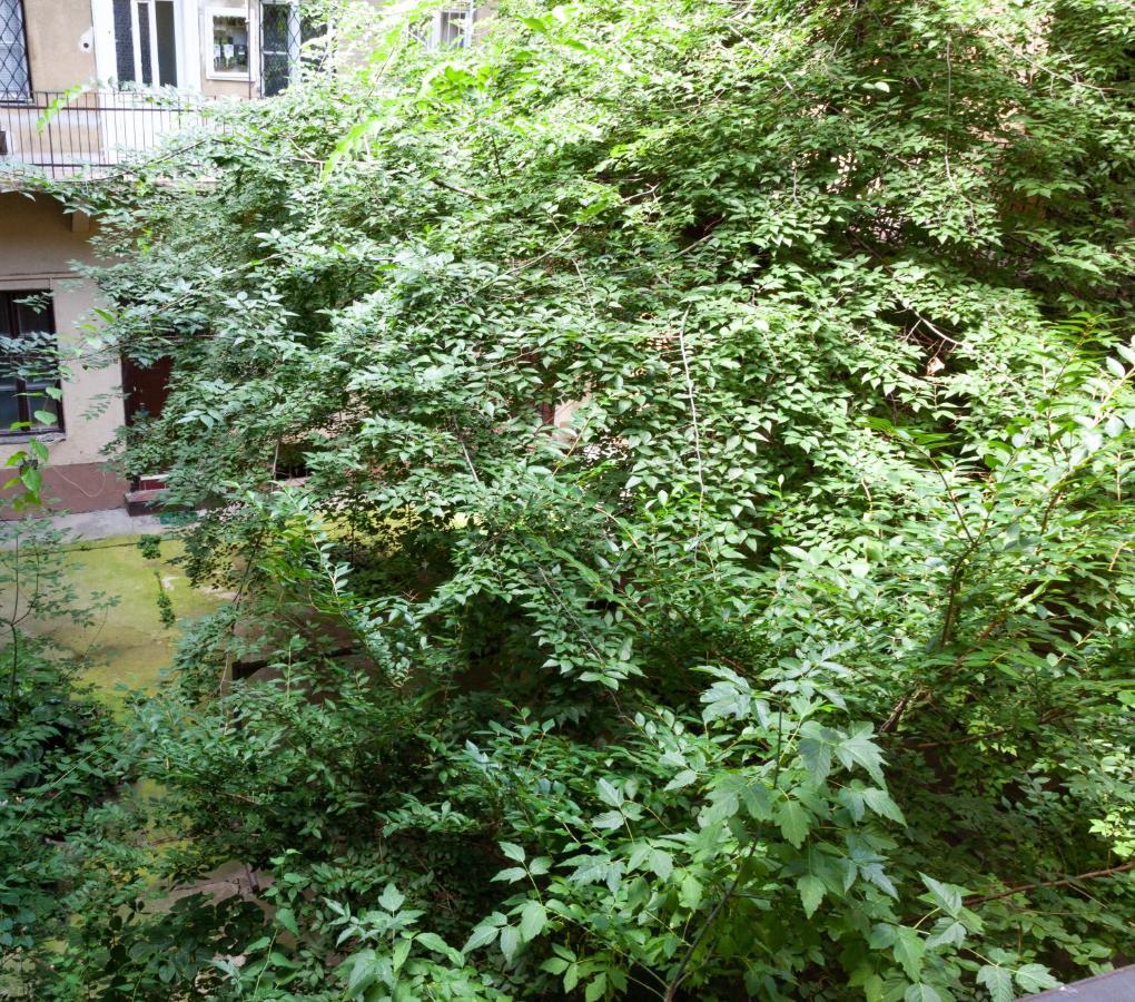 Happy Turtle Apartments Budapest Extérieur photo